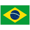 flag (2)